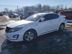 Salvage cars for sale at Chalfont, PA auction: 2015 KIA Optima Hybrid