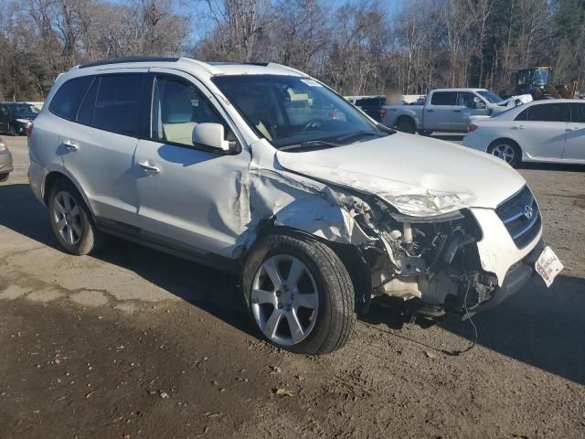 2009 Hyundai Santa FE SE