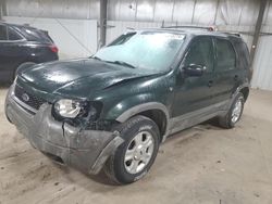Ford salvage cars for sale: 2001 Ford Escape XLT