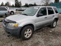 Salvage cars for sale from Copart Graham, WA: 2005 Ford Escape XLT