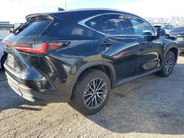 2024 Lexus NX 350H Base