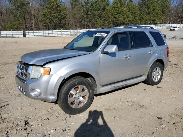 2010 Ford Escape Limited