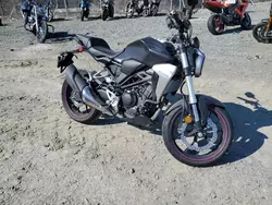 Honda CB Cycle salvage cars for sale: 2019 Honda CBF300 N