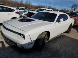 Dodge Challenger salvage cars for sale: 2019 Dodge Challenger R/T