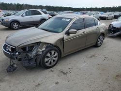 Salvage cars for sale at Harleyville, SC auction: 2010 Honda Accord EXL