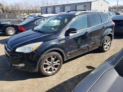 Ford Escape salvage cars for sale: 2014 Ford Escape Titanium