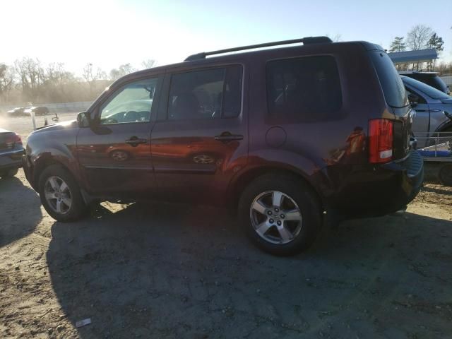 2009 Honda Pilot EXL