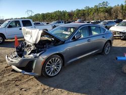 Cadillac CT5 salvage cars for sale: 2022 Cadillac CT5 Premium Luxury