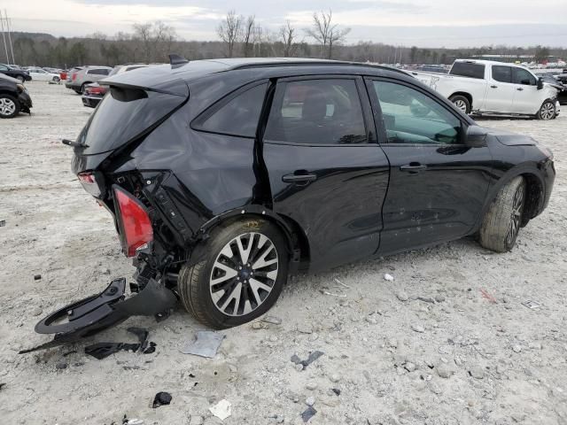 2020 Ford Escape SE Sport