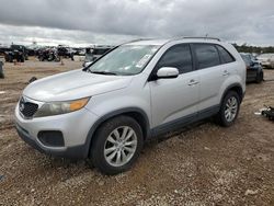 Salvage cars for sale from Copart Theodore, AL: 2011 KIA Sorento Base