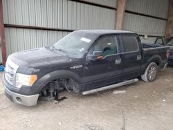 Salvage trucks for sale at Houston, TX auction: 2013 Ford F150 Supercrew