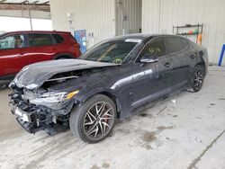 Salvage cars for sale at Homestead, FL auction: 2023 KIA Stinger GT Line