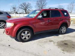 Ford Escape XLT salvage cars for sale: 2011 Ford Escape XLT