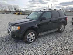 2012 Ford Escape Limited for sale in Barberton, OH