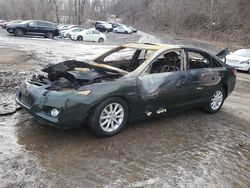 Salvage cars for sale at Marlboro, NY auction: 2010 Toyota Camry Base