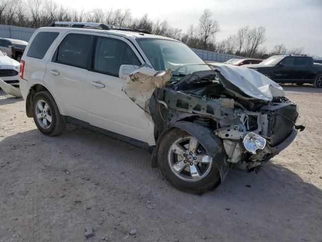 2011 Ford Escape Limited