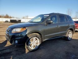 Salvage cars for sale at Columbia Station, OH auction: 2010 Hyundai Santa FE SE