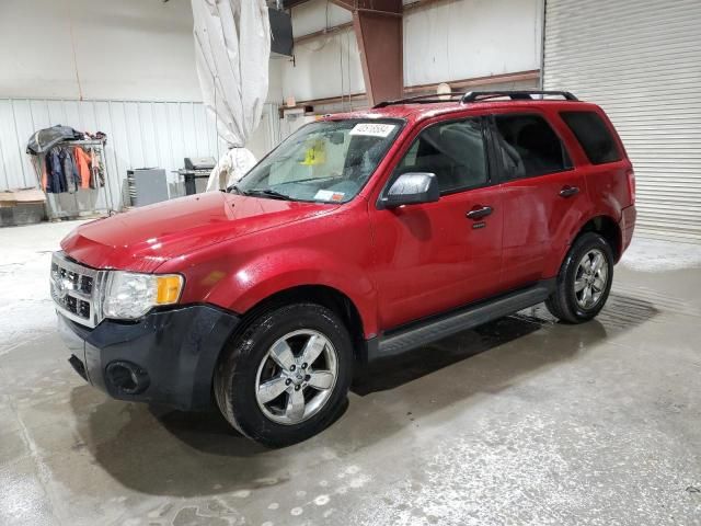 2010 Ford Escape XLT