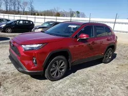 Vehiculos salvage en venta de Copart Spartanburg, SC: 2024 Toyota Rav4 XLE Premium