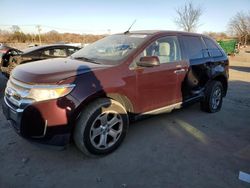 Salvage cars for sale at Baltimore, MD auction: 2011 Ford Edge SEL