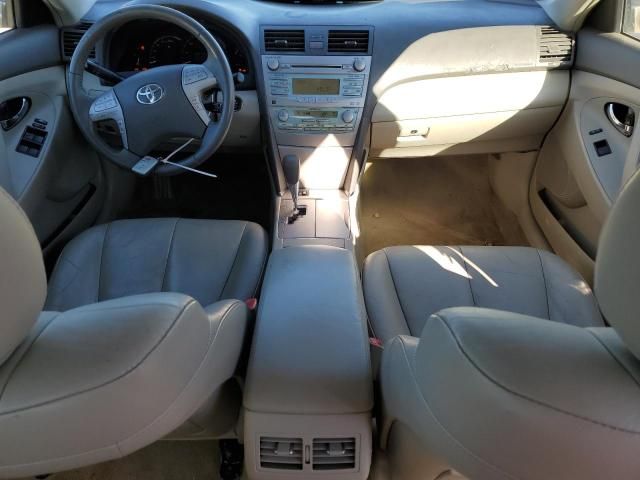 2009 Toyota Camry Hybrid