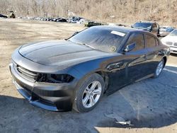 Dodge Charger salvage cars for sale: 2016 Dodge Charger SRT 392