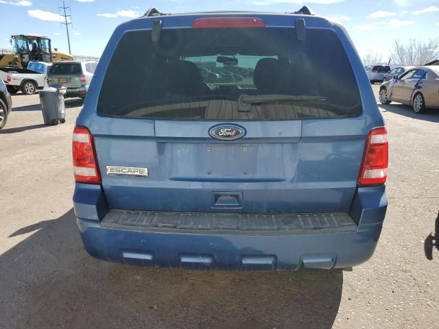 2010 Ford Escape XLT