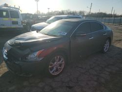 Salvage cars for sale from Copart Indianapolis, IN: 2012 Nissan Maxima S