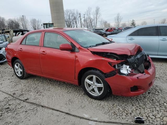 2010 Toyota Corolla Base