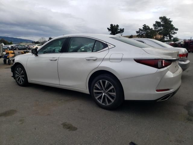 2019 Lexus ES 350