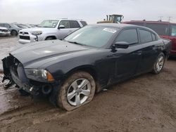 Dodge Charger SE salvage cars for sale: 2014 Dodge Charger SE