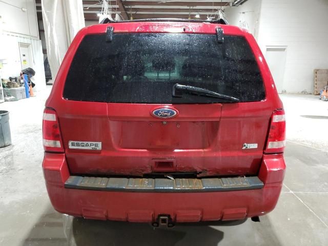 2010 Ford Escape XLT