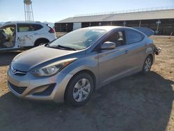 Salvage cars for sale at Phoenix, AZ auction: 2016 Hyundai Elantra SE