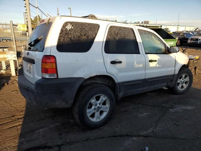 2005 Ford Escape XLT