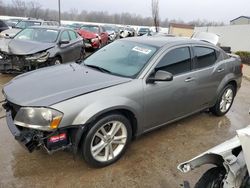 Salvage cars for sale at Louisville, KY auction: 2013 Dodge Avenger SE