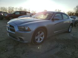 Salvage cars for sale at Baltimore, MD auction: 2013 Dodge Charger SE