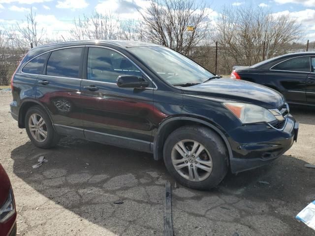 2010 Honda CR-V EXL