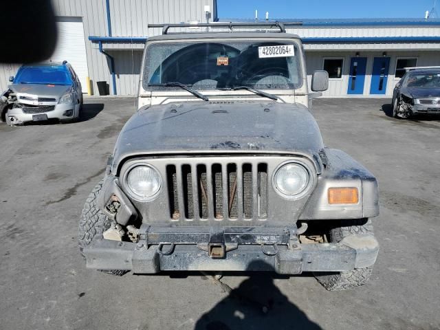 2003 Jeep Wrangler / TJ Sahara