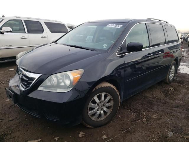 2008 Honda Odyssey EXL