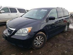 Salvage cars for sale at Elgin, IL auction: 2008 Honda Odyssey EXL