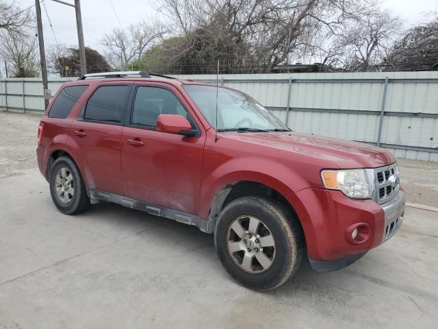 2011 Ford Escape Limited