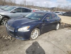 Salvage cars for sale from Copart Marlboro, NY: 2009 Nissan Maxima S