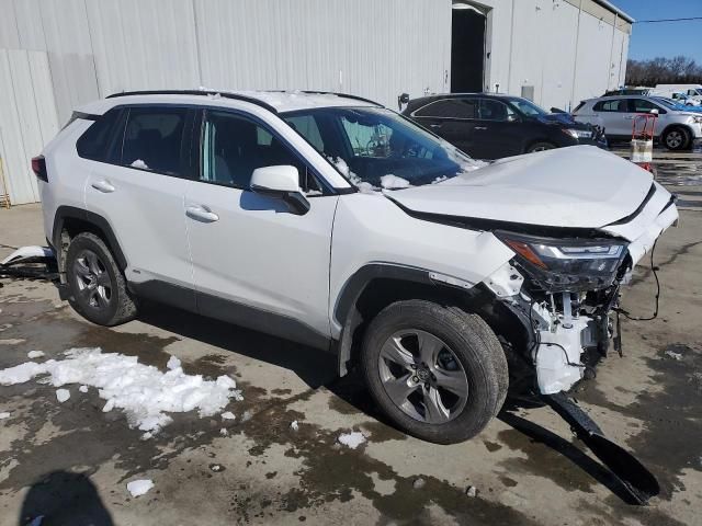 2024 Toyota Rav4 XLE