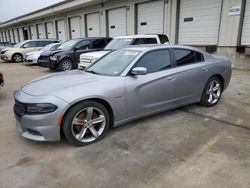 Salvage cars for sale from Copart Louisville, KY: 2017 Dodge Charger R/T