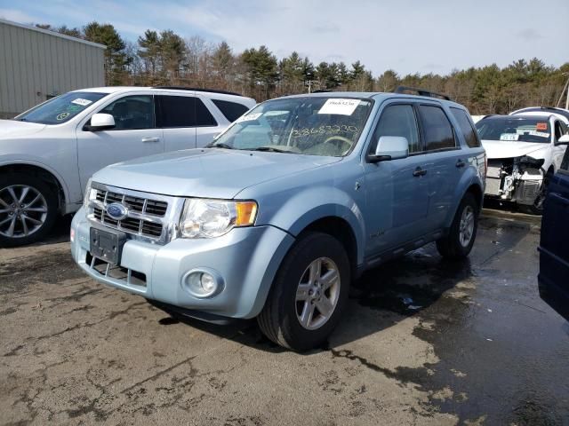 2008 Ford Escape HEV