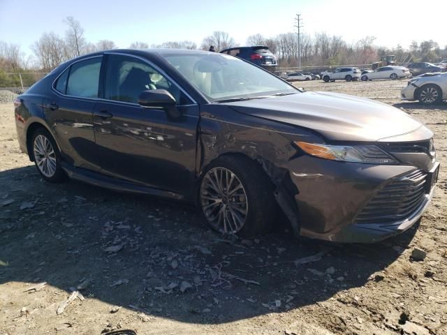 2019 Toyota Camry L