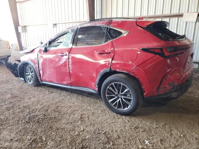 2024 Lexus NX 350H Base