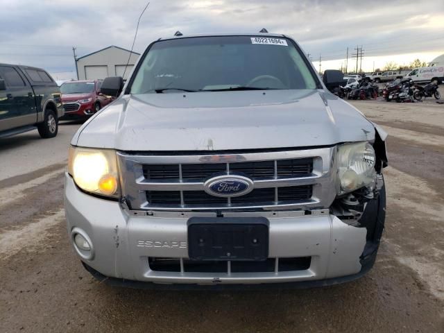 2009 Ford Escape XLT