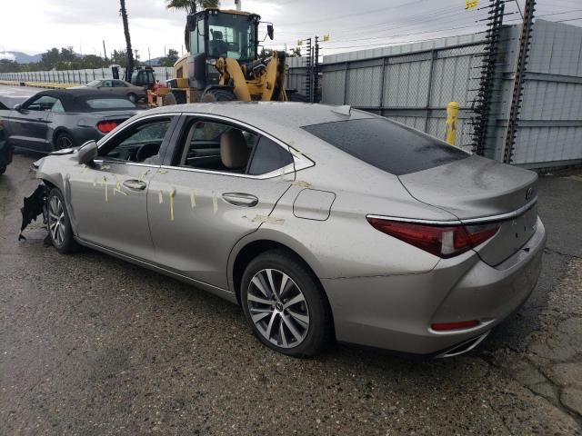 2019 Lexus ES 350