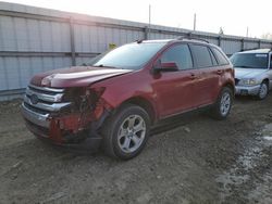 Ford salvage cars for sale: 2013 Ford Edge SEL